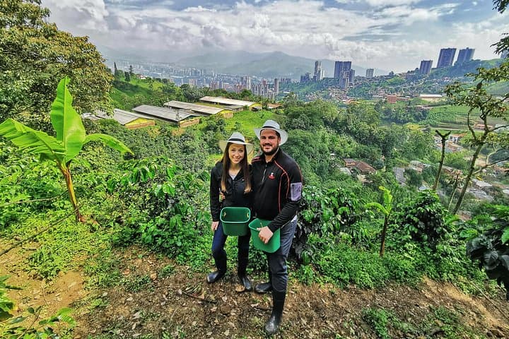 Medellín Coffee Farm & Horseback Tour: Ride, Roast, and Taste photo 2