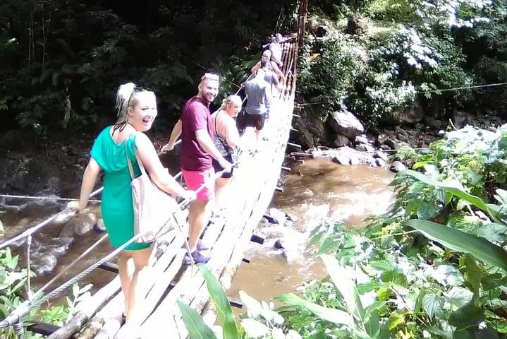 St. Vincent Dark View Waterfalls, Walilabou & Fort Charlotte Full-Day Tour photo 5