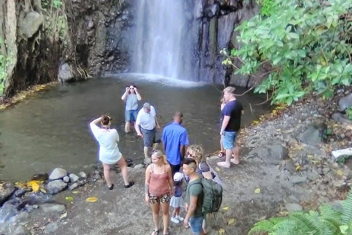 St. Vincent Dark View Waterfalls, Walilabou & Fort Charlotte Full-Day Tour