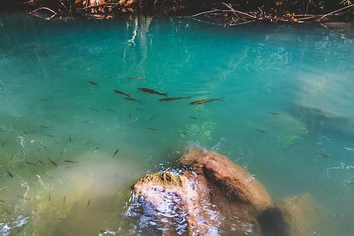 Erawan Waterfall & Elephant Care: Private Day Tour from Bangkok to Kanchanaburi photo 3