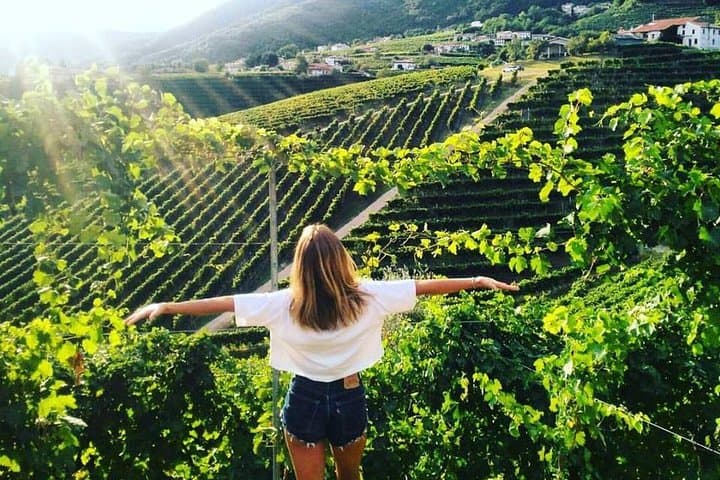 Prosecco Hills Hiking and Private Wine Tasting in Valdobbiadene