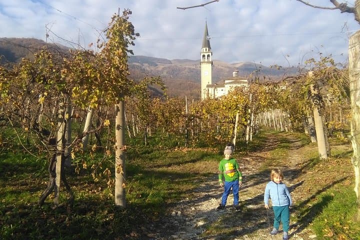 Prosecco Hills Hiking and Private Wine Tasting in Valdobbiadene photo 5