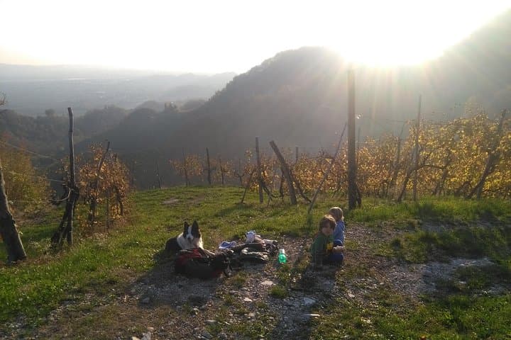 Prosecco Hills Hiking and Private Wine Tasting in Valdobbiadene photo 6