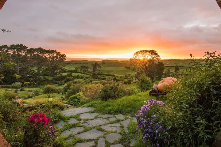 Hobbiton & Rotorua Geysers: Private Day Tour from Tauranga photo 3