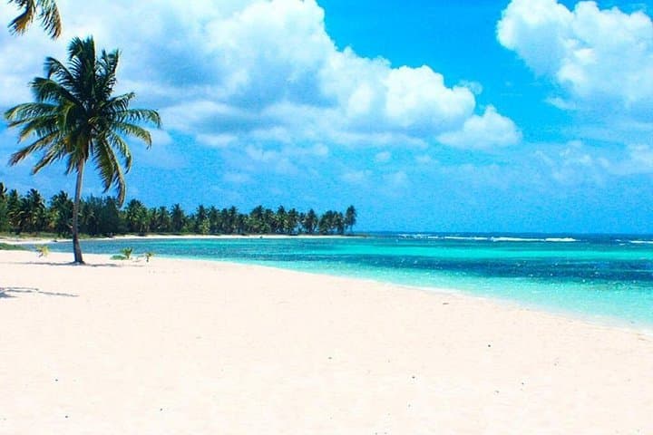 Saona Island VIP Full-Day Excursion: Speedboat, Natural Pool & Snorkeling from Bayahibe photo 3