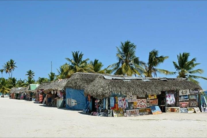 Saona Island VIP Full-Day Excursion: Speedboat, Natural Pool & Snorkeling from Bayahibe photo 4