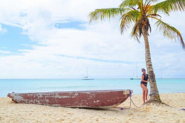 Saona Island VIP Full-Day Excursion: Speedboat, Natural Pool & Snorkeling from Bayahibe photo 2