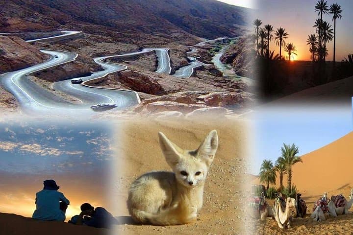 Fes to Marrakech: 3-Day Merzouga Desert Tour with Camel Trek and Kasbahs