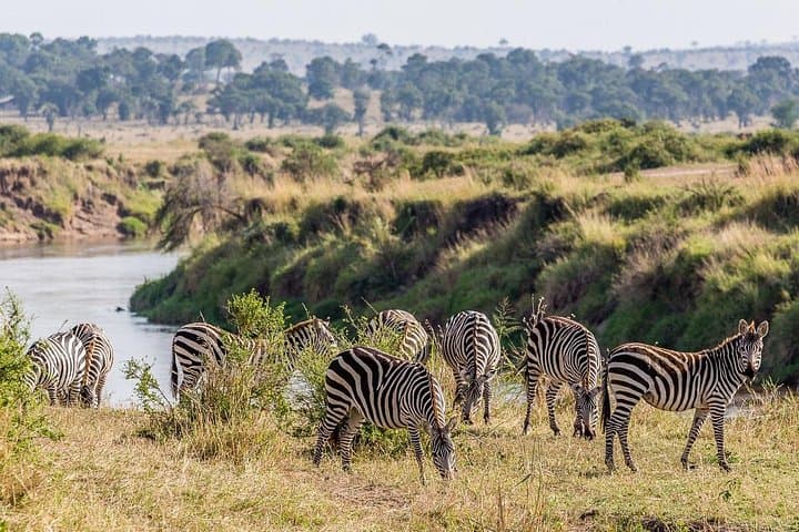 4-Day Budget Camping Safari to Ngorongoro, Serengeti & Tarangire from Arusha photo 4