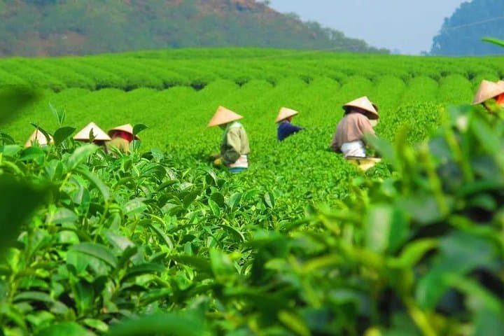 Da Lat to Mui Ne 2-Day Motorbike Tour — Highlands, Waterfalls & Coastal Dunes photo 6