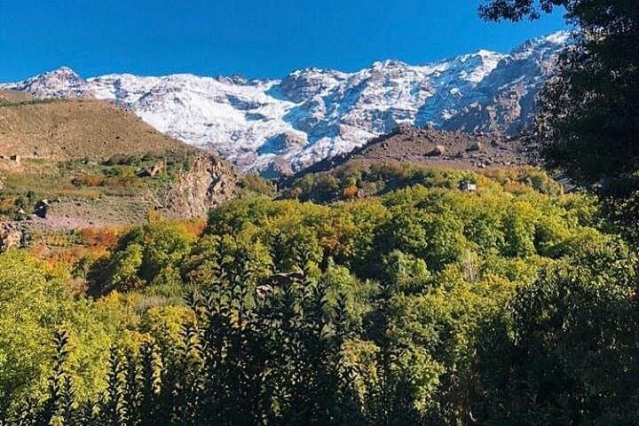 Atlas Mountains Day Trip from Marrakech: Imlil Hike, Argan Cooperative & Camel Ride photo 2