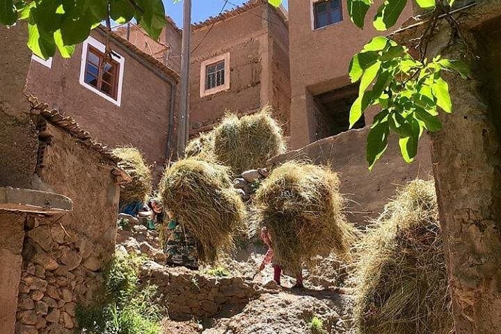 Atlas Mountains Day Trip from Marrakech: Imlil Hike, Argan Cooperative & Camel Ride photo 4