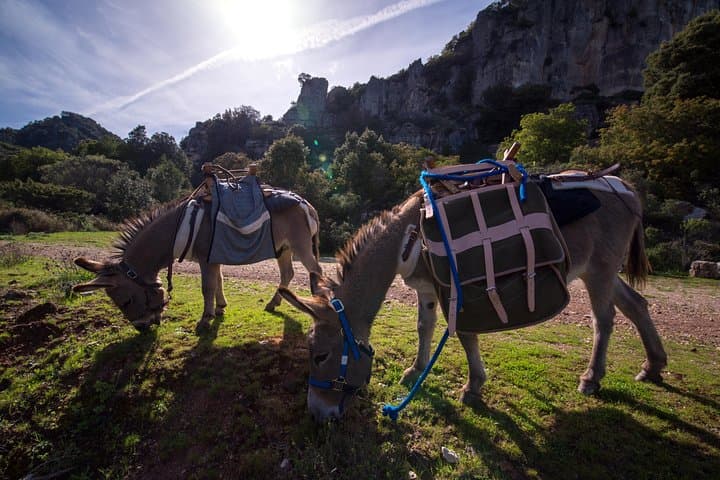 Donkey Treks in Sardinia: Transhumance Trails from Jerzu to Perda-e-Liana photo 6