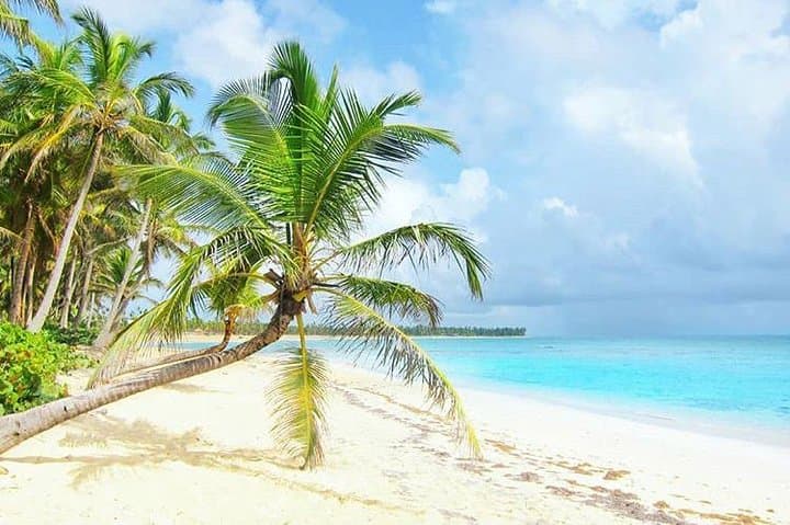 Seamless Shuttle to Dreams Macao Beach — Punta Cana Airport Round-Trip Transfer