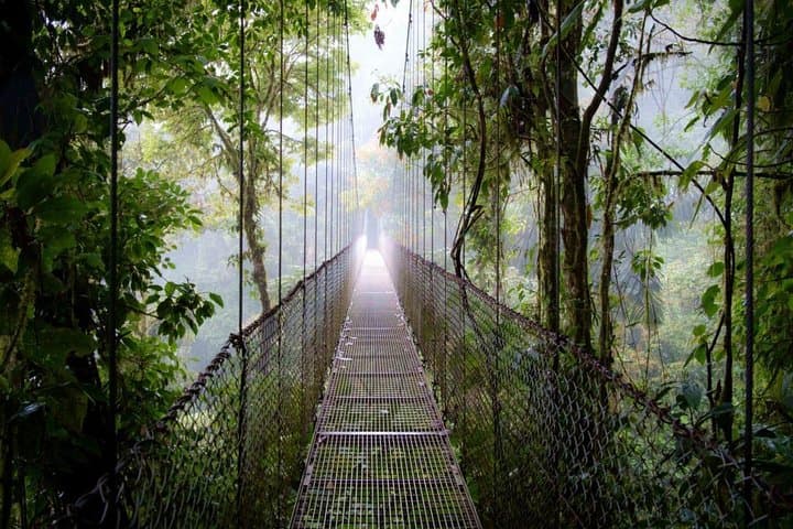 Arenal Hanging Bridges: Mistico Park Rainforest Hike & Wildlife Walk photo 2