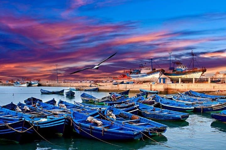 Essaouira Day Trip from Marrakech: Private Coastal Excursion to the Atlantic photo 2
