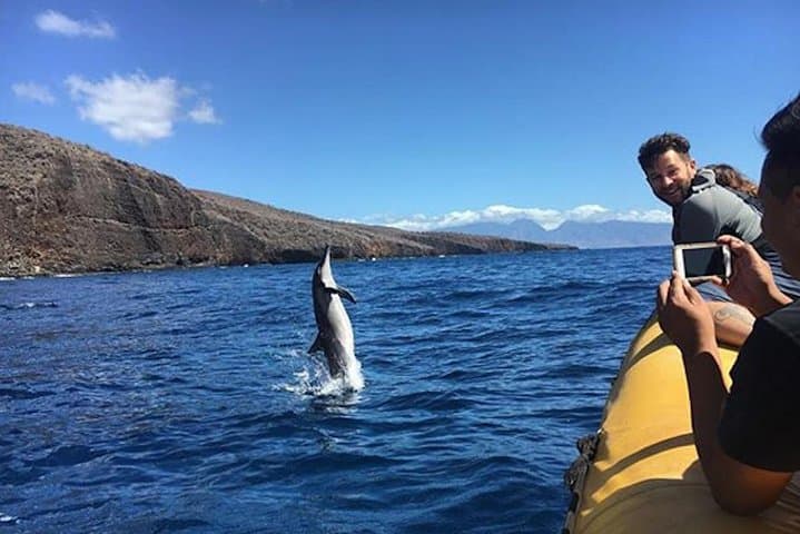 Explore Lanai’s Wild Shores: A Deluxe Dolphin and Snorkel Adventure