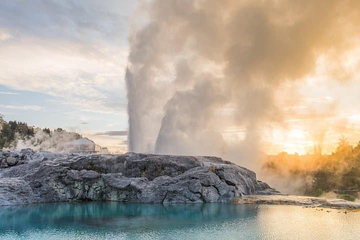 Private Tauranga Day Trip to Te Puia: Rotorua Geysers, Redwoods & Māori Culture