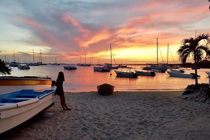 Punta Cana Private Airport Shuttle — Fast Round-Trip Transfers to Bávaro, Cap Cana & Bavaro Resorts photo 3