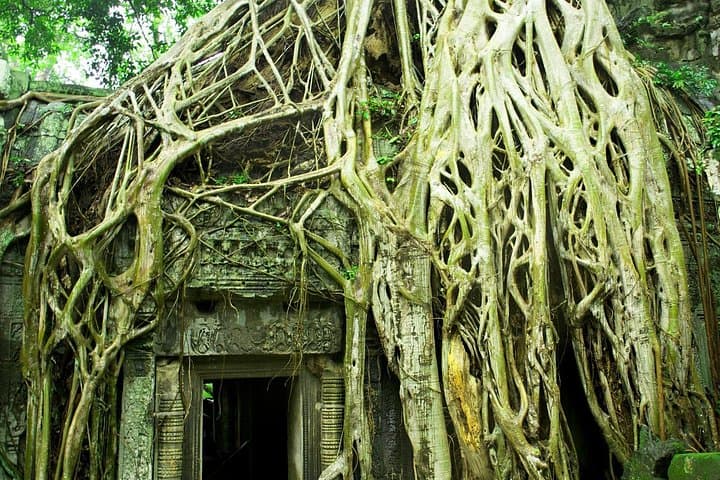 Angkor Wat Sunrise by E‑Bike: Full-Day Temple Ride from Siem Reap photo 6