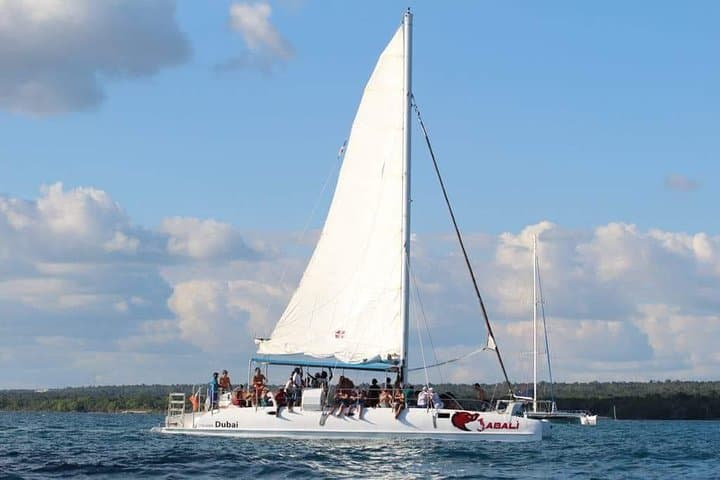 Saona Island Day Trip from Punta Cana: Speedboat, Natural Pool & Beach Time photo 6