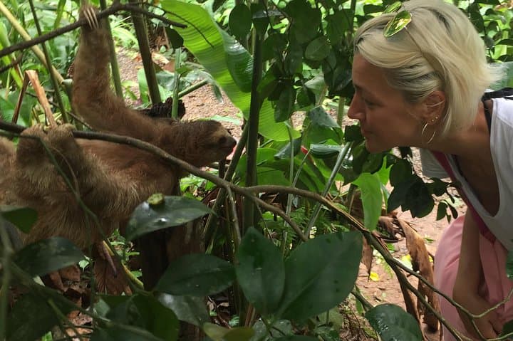 Bijagua Tenorio Hanging Bridges & Private Sloth Encounter — Day Tour photo 5