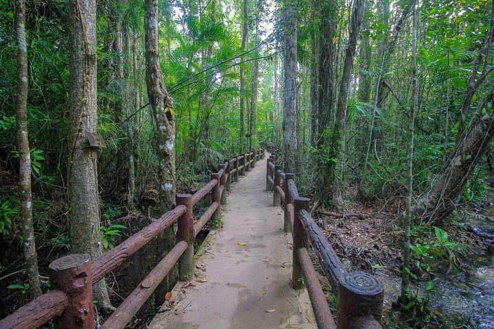 Krabi Outback Explorer: Emerald Pool, Wareerak Hot Spring & Tiger Cave photo 2