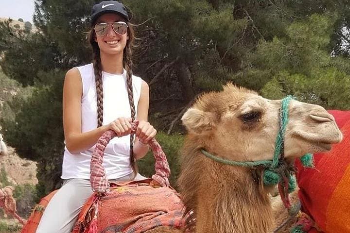 Atlas Mountains Day Trip from Marrakech — Imlil Valley, Berber Villages & Mule Rides photo 4