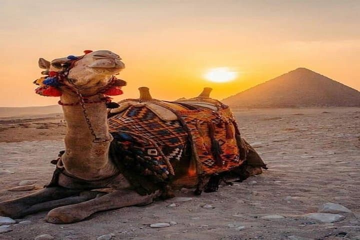 Sunset Camel Ride & Bedouin Dinner at the Giza Pyramids — Private Evening Tour photo 3