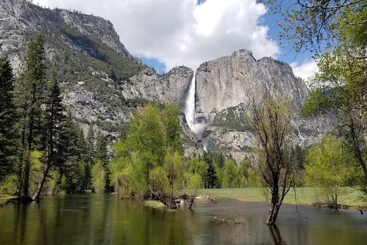 Private Tesla Yosemite Day Tour — Tunnel View, Glacier Point & El Capitan photo 4