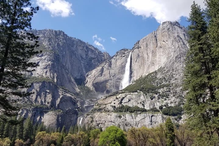 Private Tesla Yosemite Day Tour — Tunnel View, Glacier Point & El Capitan photo 6