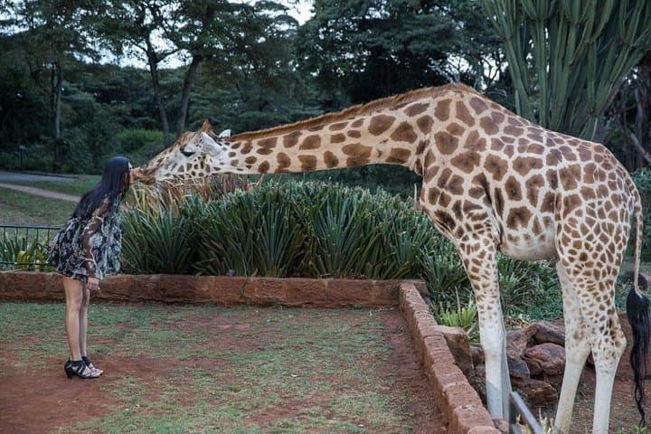Capture Your Nairobi Adventure with a Private Vacation Photographer photo 4