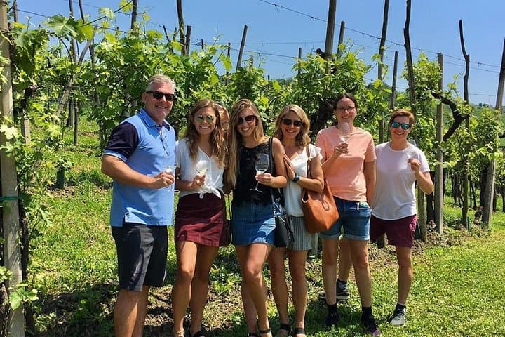 Prosecco Hills Hiking and Private Wine Tasting in Valdobbiadene photo 3