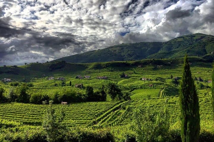 Prosecco Hills Hiking and Private Wine Tasting in Valdobbiadene photo 2