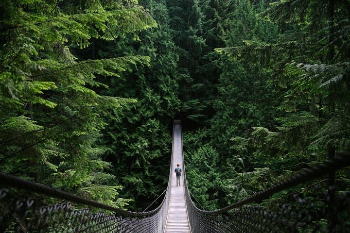 Grouse Mountain and Capilano Suspension Bridge: Full-Day Private Mountain Adventure