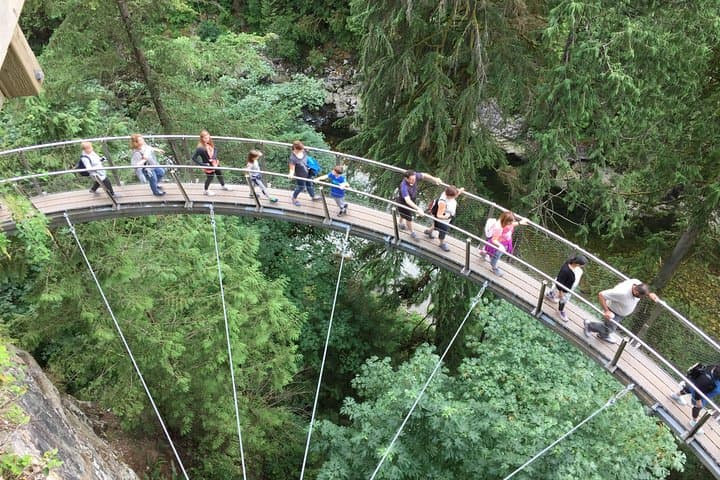 Grouse Mountain and Capilano Suspension Bridge: Full-Day Private Mountain Adventure photo 3