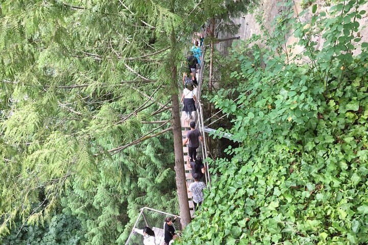 Grouse Mountain and Capilano Suspension Bridge: Full-Day Private Mountain Adventure photo 4