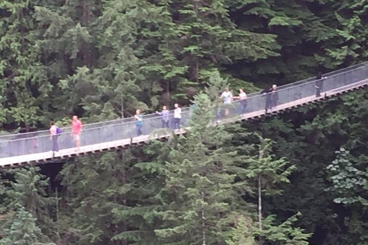 Grouse Mountain and Capilano Suspension Bridge: Full-Day Private Mountain Adventure photo 5