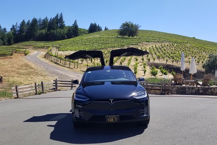 Private Napa & Sonoma Wine Country Tour by Tesla Model X — Flexible Hourly Wine Drives photo 6