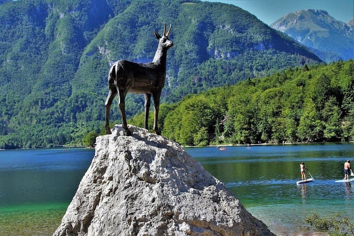 Lake Bohinj and Savica Waterfall: Half-Day Triglav National Park Escape from Ljubljana