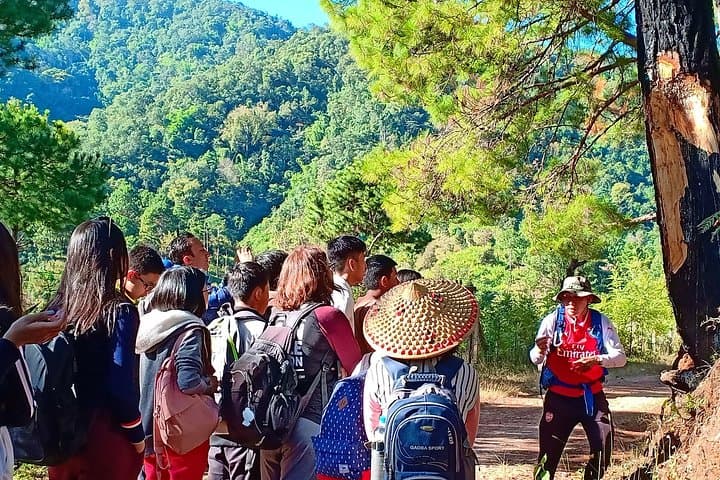 Kalaw Hill-Tribe Trek: 2–3 Day Guided Walk Through Pine Forests and Rice Fields