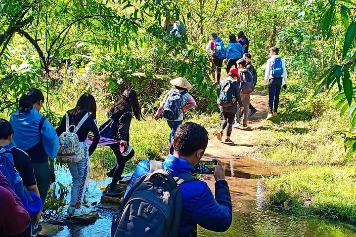 Kalaw Hill-Tribe Trek: 2–3 Day Guided Walk Through Pine Forests and Rice Fields photo 2