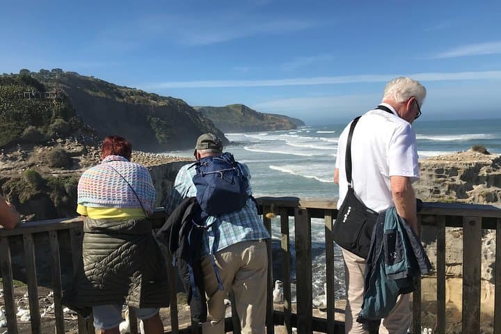 West Coast Muriwai Gannet Colony & Rainforest Day Tour from Auckland photo 2