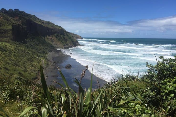 Auckland City to Surf Private Tour – Rainforest Walks, Gannets & Volcanic Views photo 4