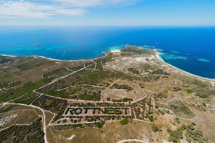 Rottnest Island Grand Tour: Train Ride, Quokkas, Lighthouse & Lunch photo 3