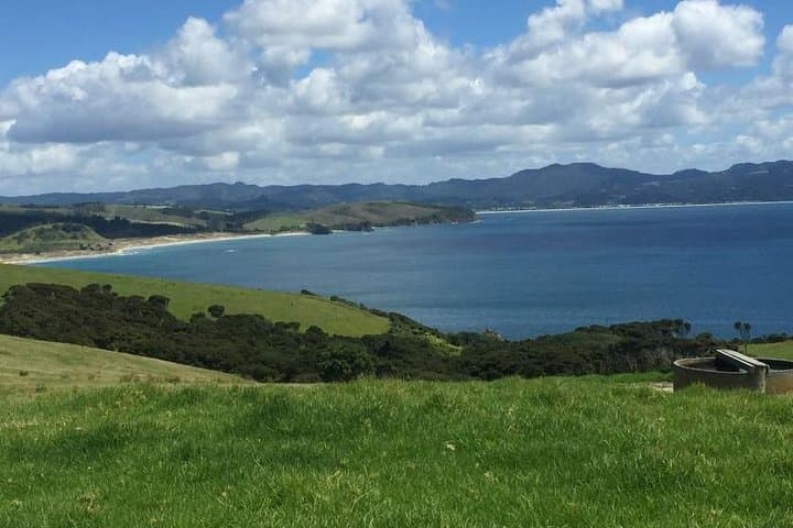 Tāwharanui Regional Park: Coastal Hike, Wildlife & Matakana Wine Tasting photo 2