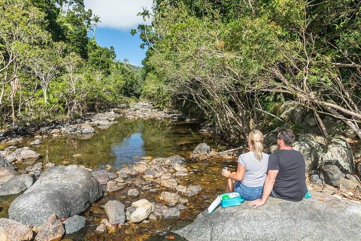 Whitsunday Segway Rainforest Discovery Tour — Glide the Great Whitsunday Walk photo 4