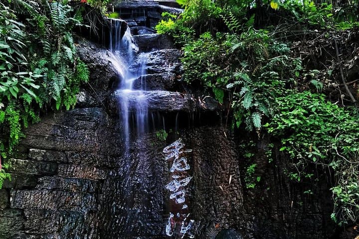 Leshan Giant Buddha Day Tour from Chengdu: Cruise, Cliffs & Local Lunch photo 5
