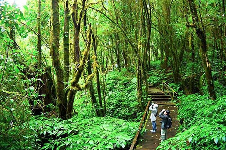Doi Inthanon Day Trek to Pha Dok Siew Waterfall & Royal Project photo 2
