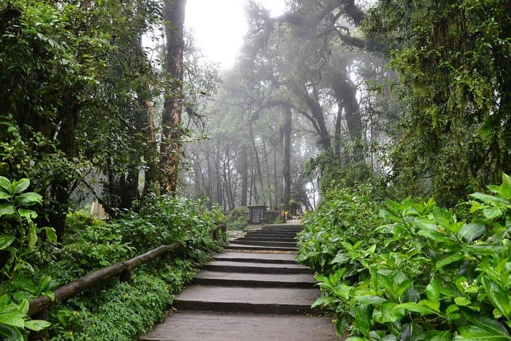 Doi Inthanon Day Hike: Kew Mae Pan Trail, Twin Pagodas & Waterfalls photo 6